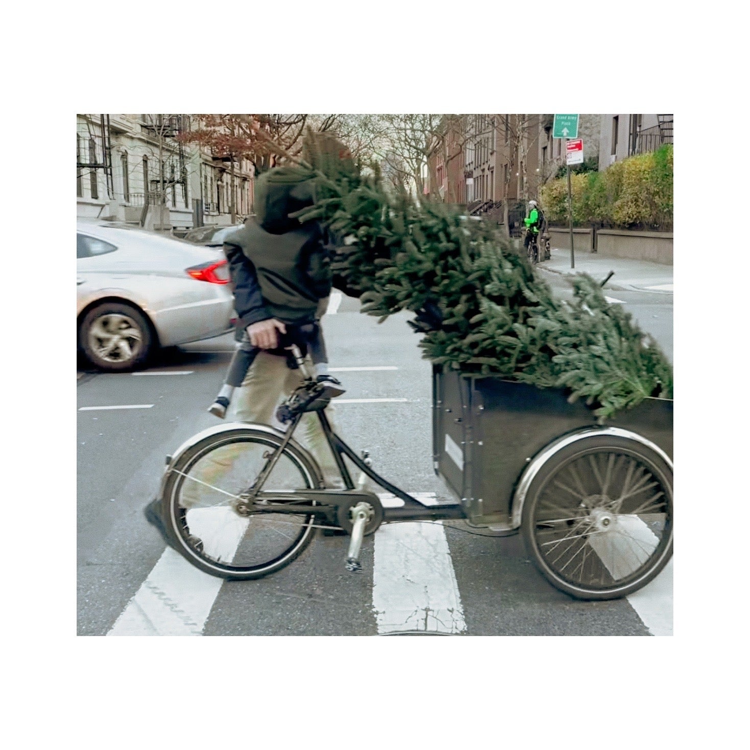 A Very Brooklyn Tree Haul—with Erin Boyle and Her Christiania Bike