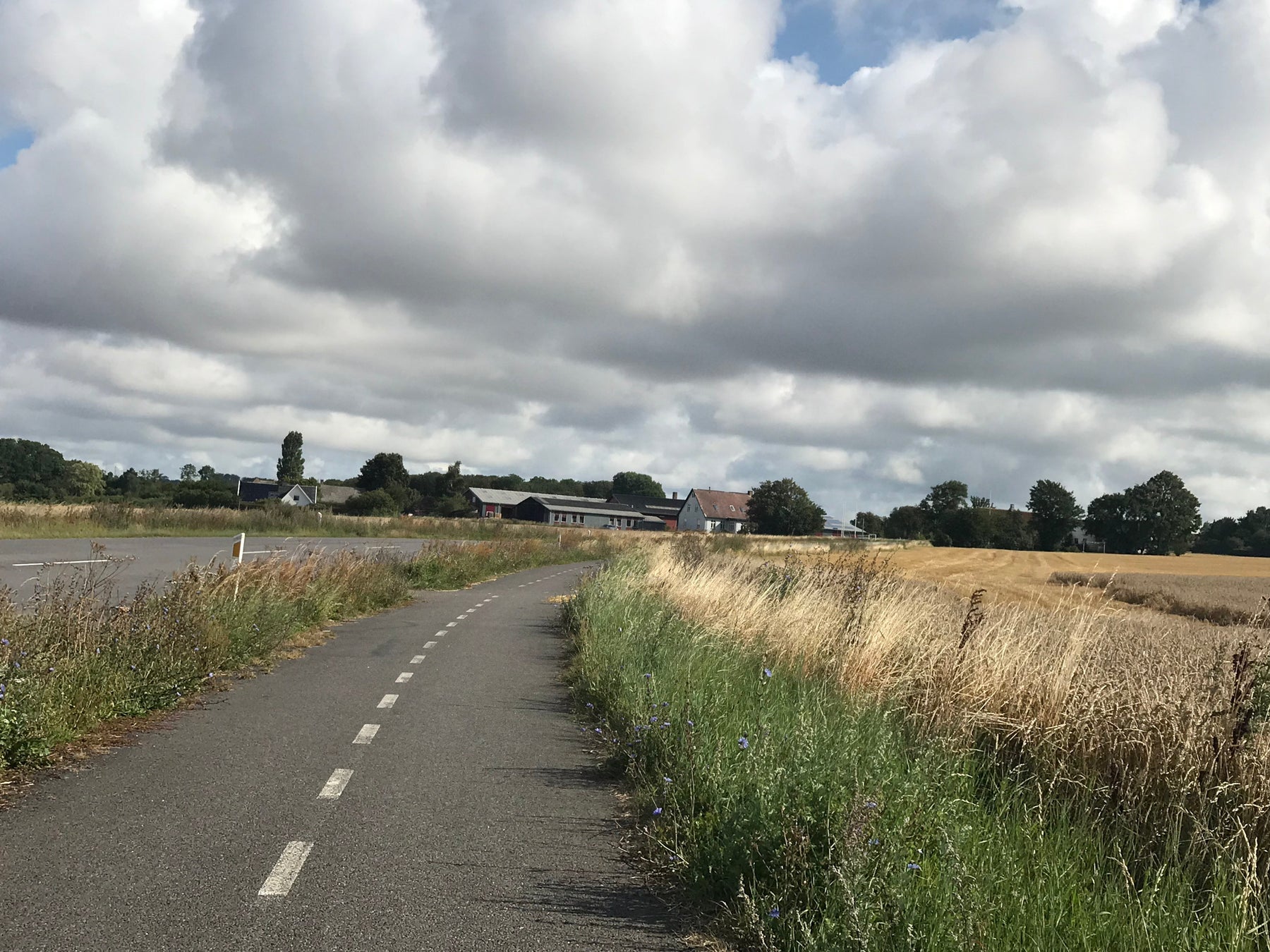 Cycling in Denmark: Where to Start Your Biking Adventure