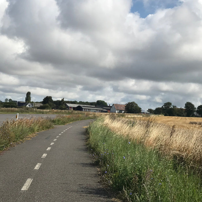 Cycling in Denmark: Where to Start Your Biking Adventure